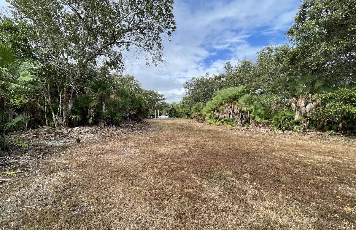 Prime lots Near Placencia Airport