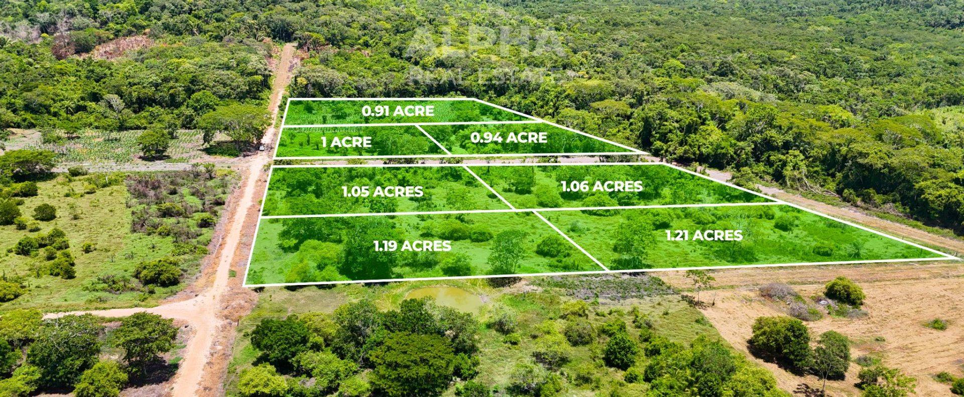 1 acre Parcels in Bullet Tree Falls, Cayo