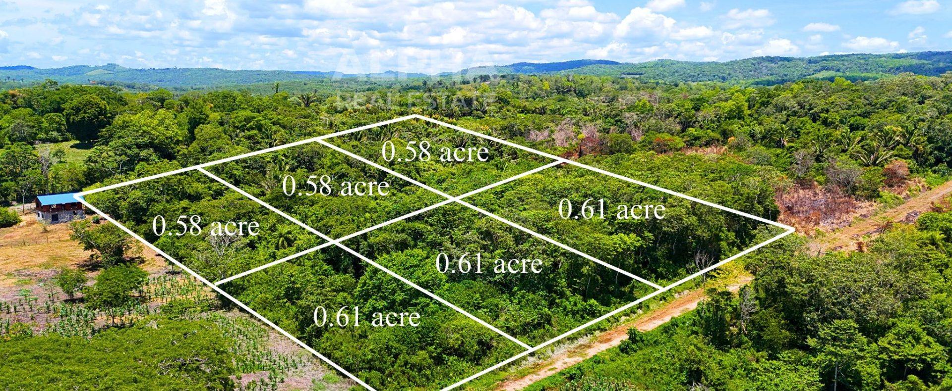 1/2 acres Parcels – Bullet Tree Falls, Cayo