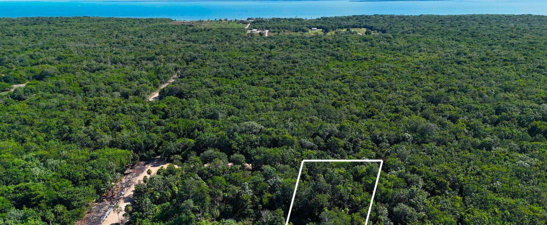 Serenity Road Investment Parcel Near Corozal, Belize
