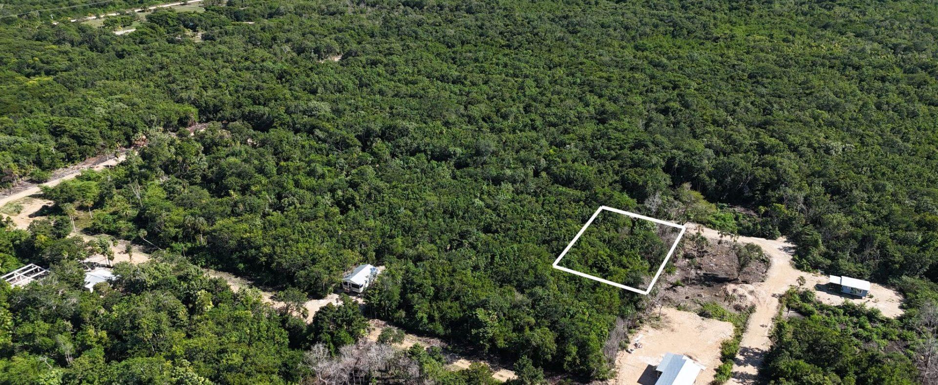 Quiet Northern Belize Lot Near Corozal Town – Off-Grid Investment Opportunity