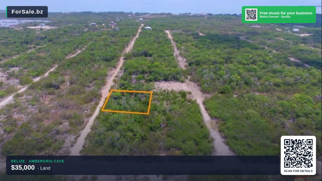 Grand Belizean Estates Parcel 7149 - Recently Reduced!