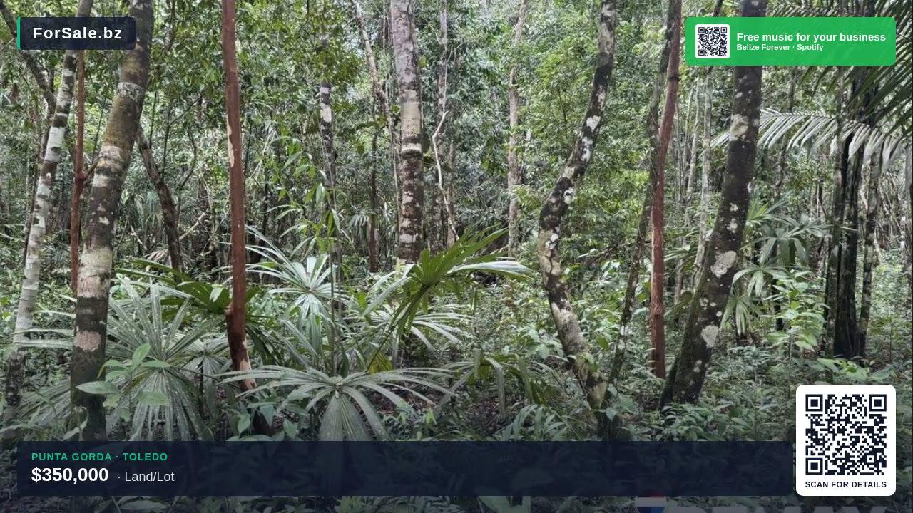 49 Acres of Untouched Jungle Paradise on the Moho River