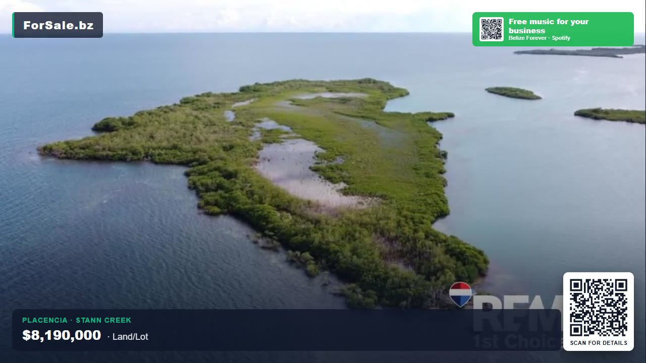 Palmetto Caye