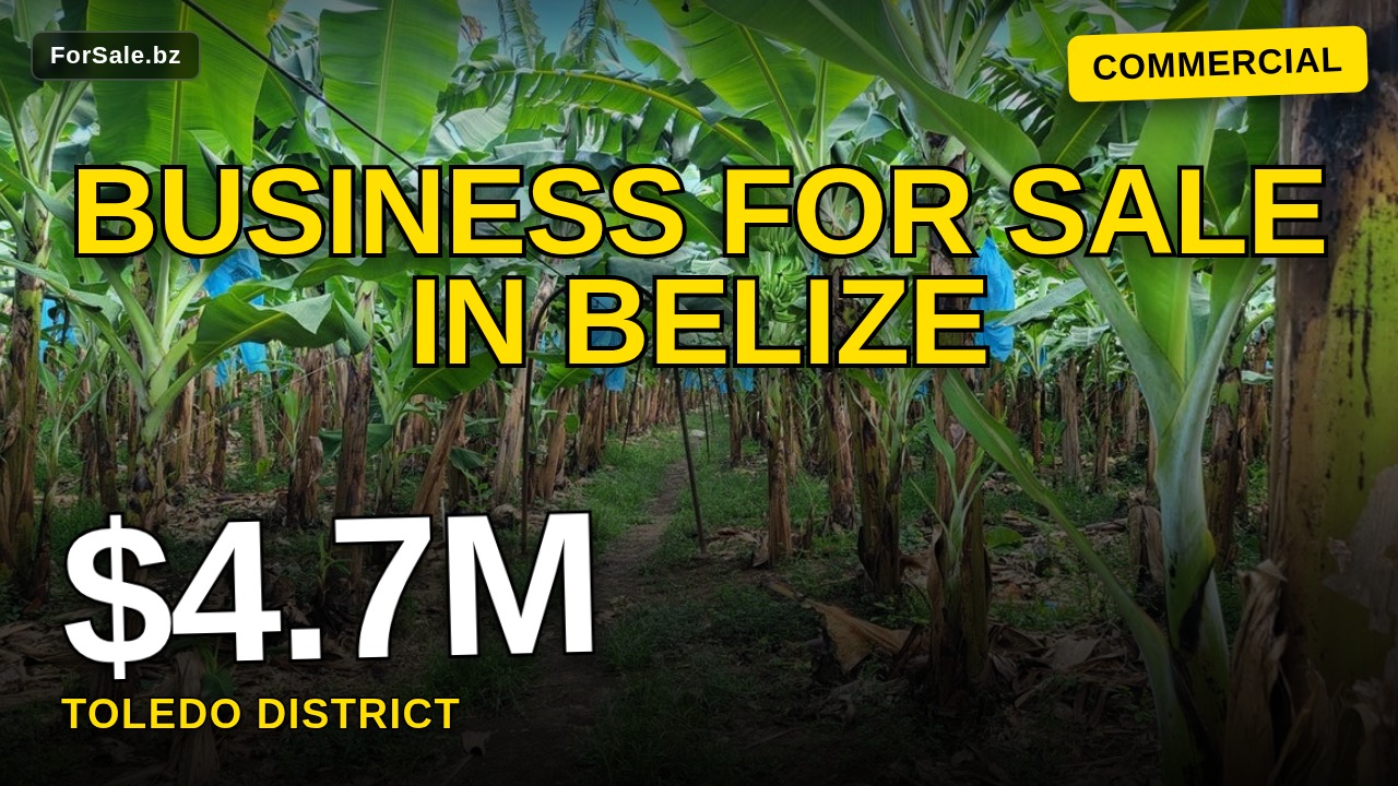 Toledo District, Toledo District, Toledo District Commercial Farming for Sale