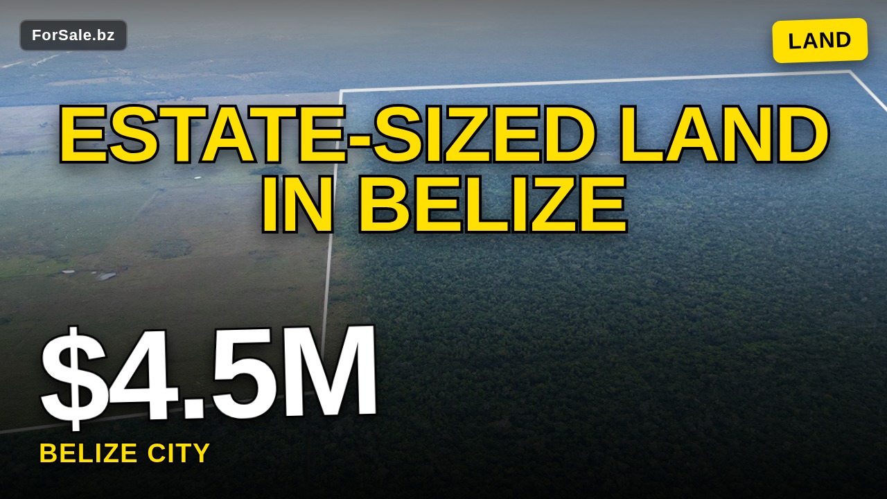 3000 Acres Agriculture Investment Opportunity in Rancho Dolores, Belize District