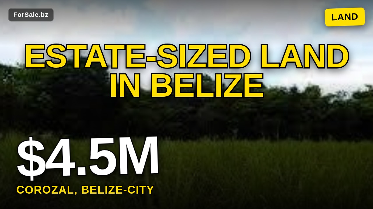 3.75 Acres 6 Lot Sub-divided Lots Corozal Free Zone, Corozal, Belize City 99999 Rural for Sale