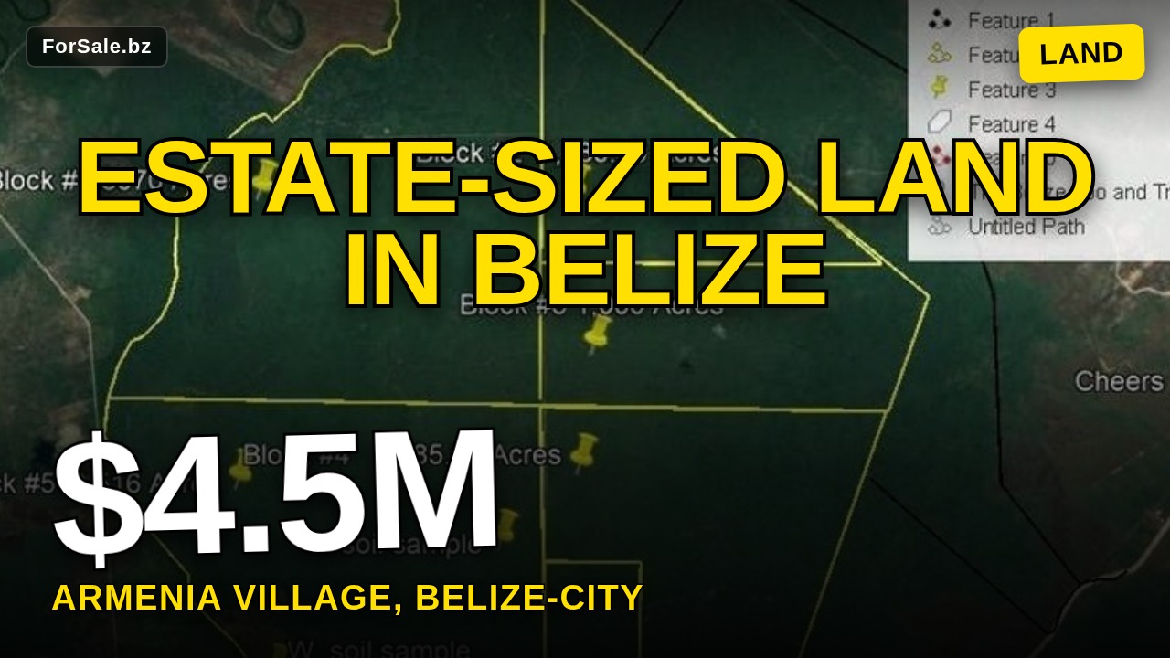 1000 Acres Beaver Dam - Belize, Armenia Village Cayo Dist, Belize City 99999 Rural for Sale