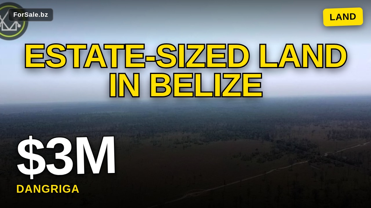 Video tour of 2547 Acres of Untouched Land in Monkey River Bladen, Belize
