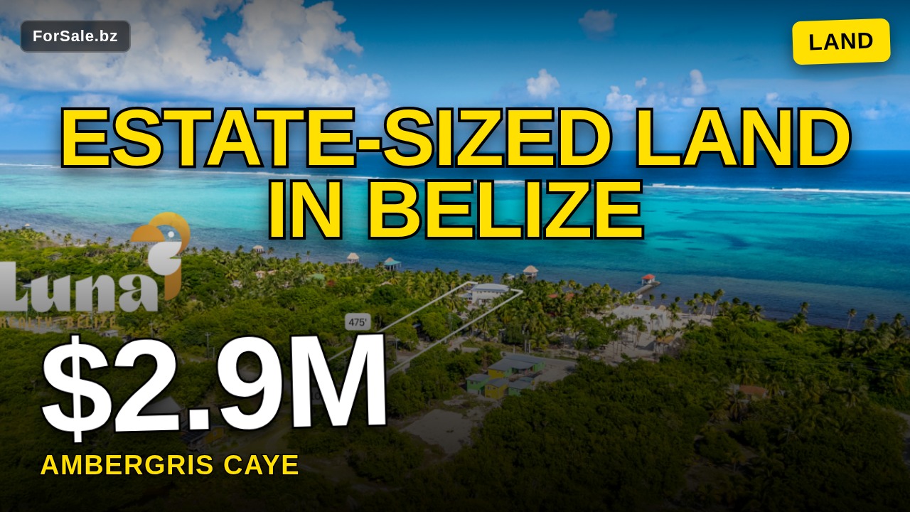 Video tour of Tropical Luxury 3BR/3.5BA Caribbean Front Estate on 1 Acre – 7 Miles North