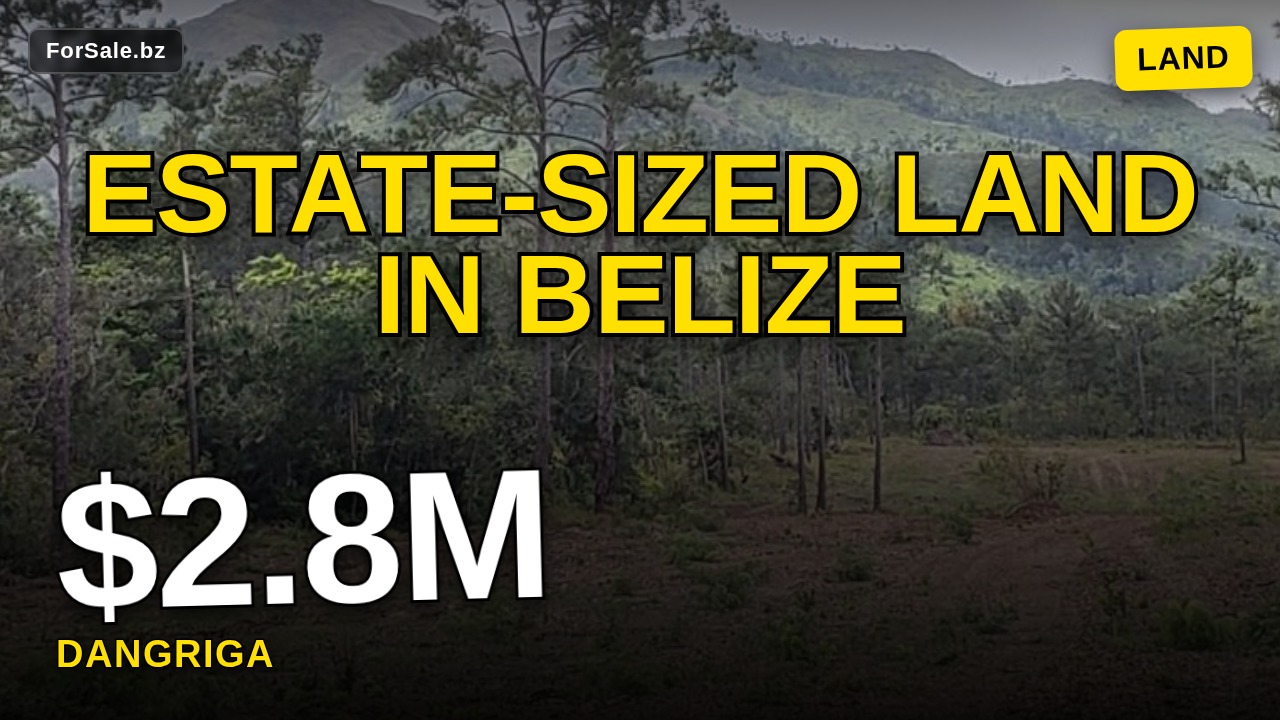 Video tour of 1100 +/-Acres of Pristine Land in Stann Creek, Belize