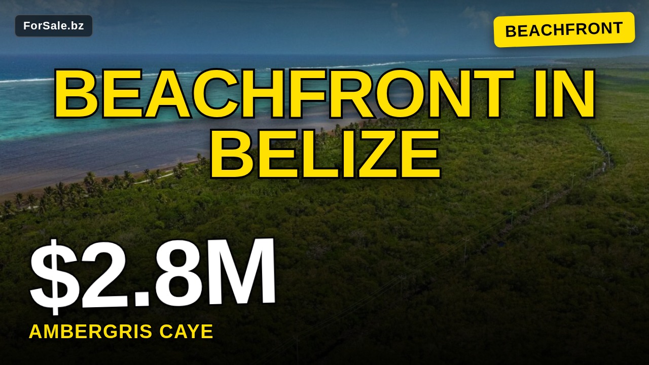 20 Acre Mega Beachfront Estate – Largest Parcel for Sale in Belize