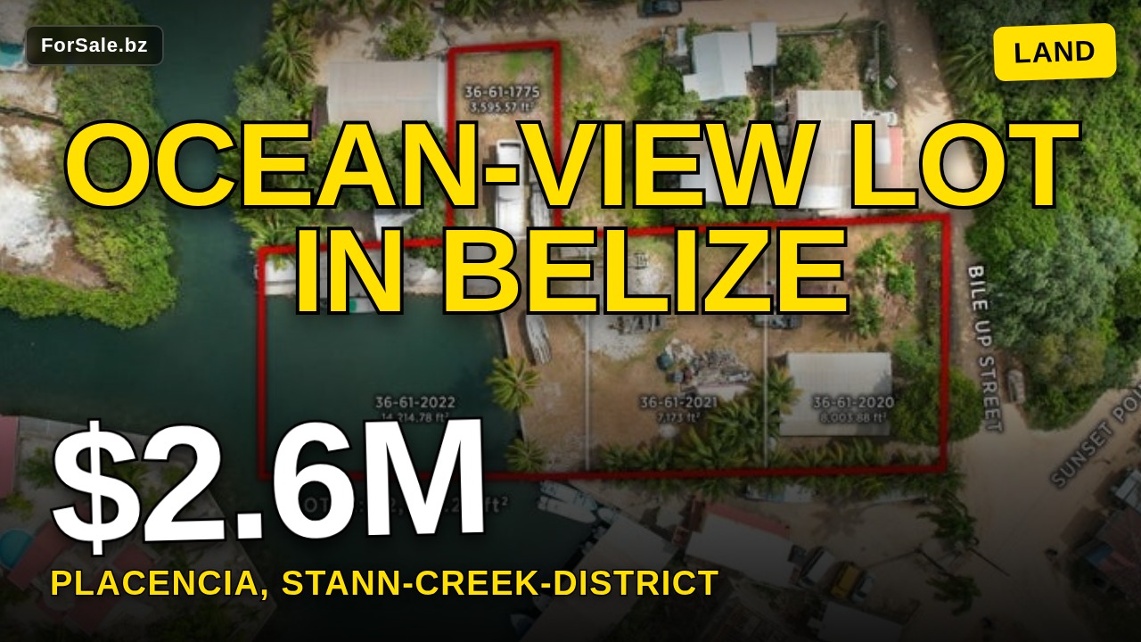 Video tour of Bile Up St, Placencia, Stann Creek District Land/Development for Sale