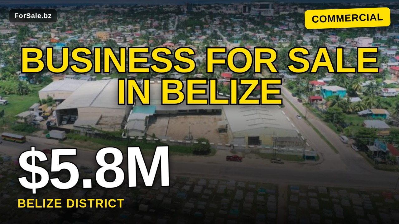 Video tour of 32,000 sq. ft. Industrial Warehouse Complex - 1.25 Acres - George Price Highway