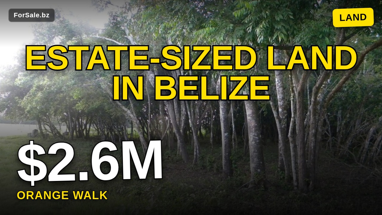 Video tour of 1,300 Acres for sale in Orange Walk