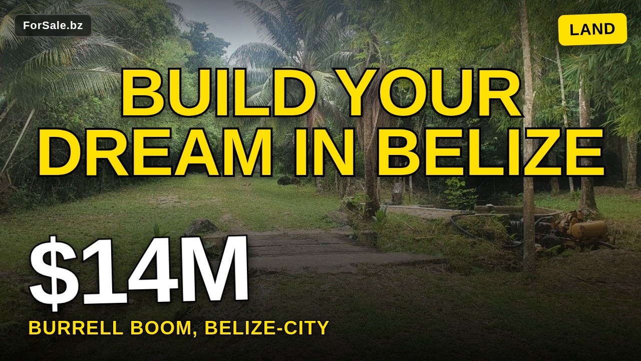 Video tour of Burrell Boom, Belize City