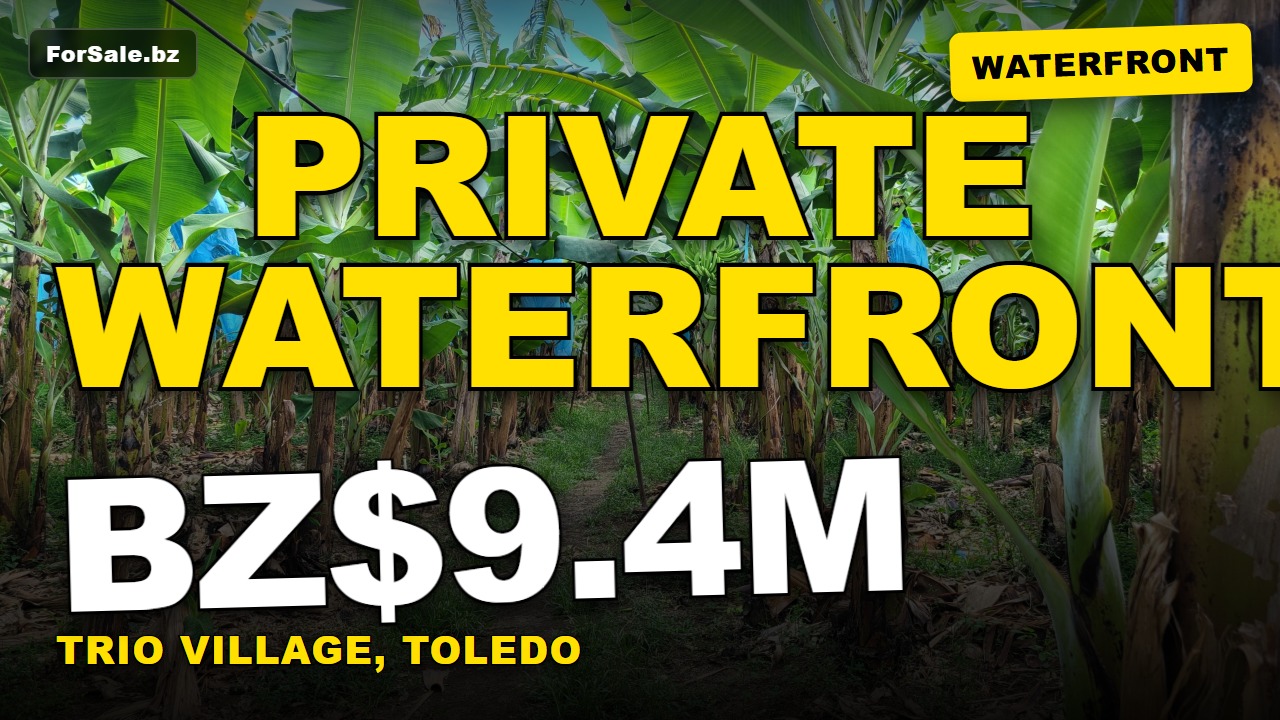 PF0023 – Banana Farm For Sale – Fully operational Toledo District