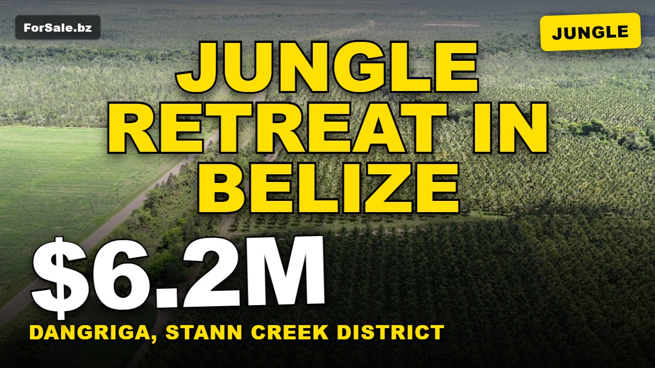 Video tour of 820-Acre Agricultural Estate for Sale – Maya Centre, Stann Creek