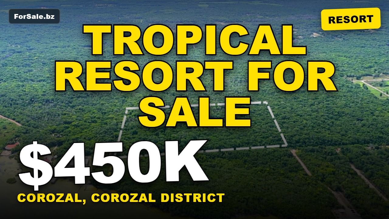 Video tour of 20 Acres Seaview Property – Serenity Area, Corozal