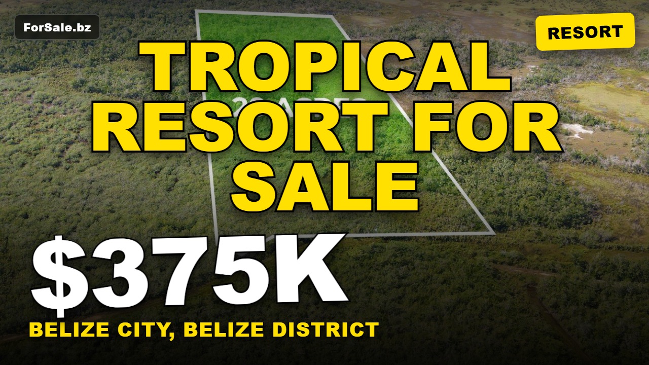 Video tour of 19.391 Acres Near Mile 8 Belize | Prime Investment Land