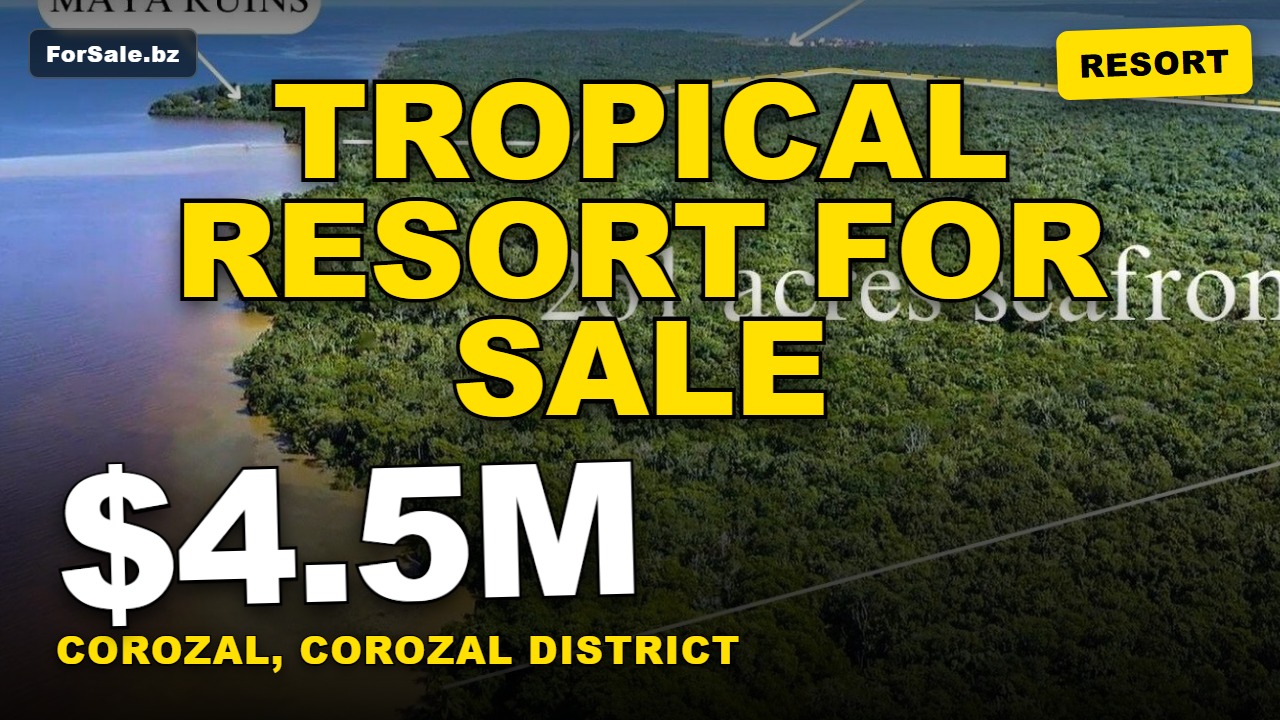 Video tour of 260.948 Acres Beside Ancient Maya Ruins- Cerros, Corozal