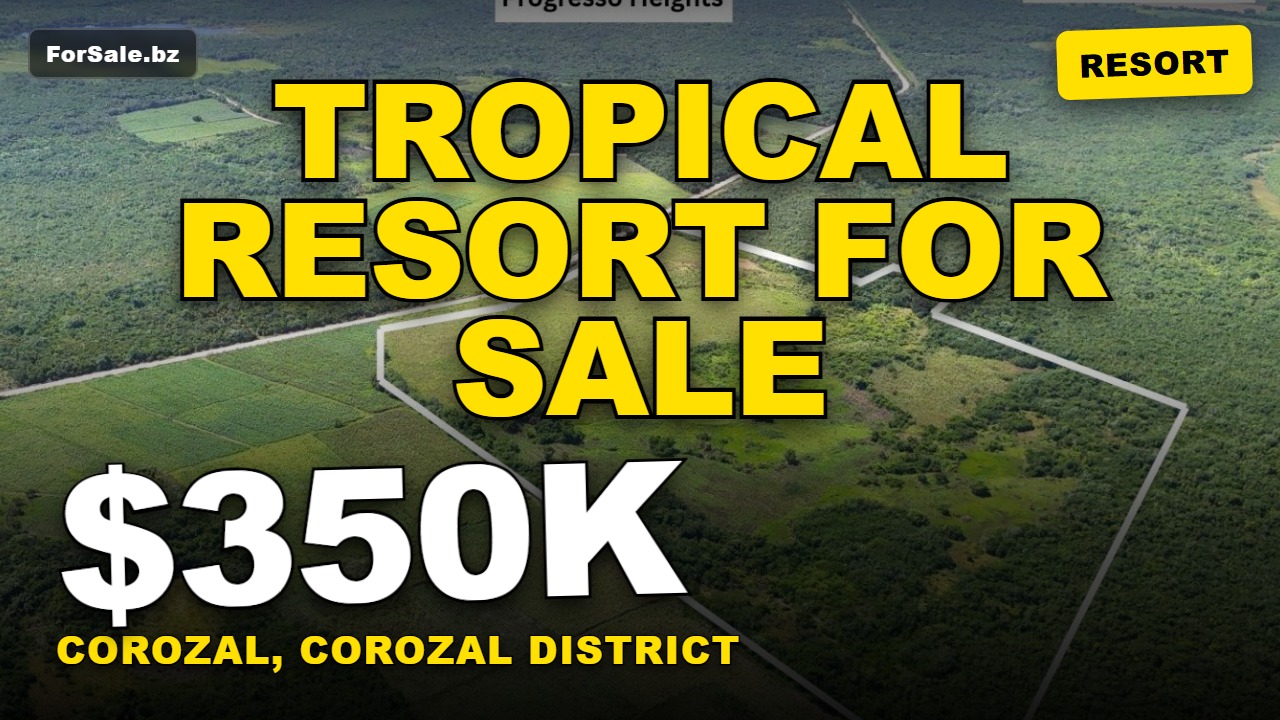 Video tour of 83.697 Acres on Progresso’s main road, Corozal