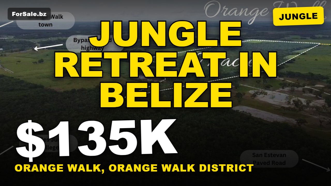 Video tour of 77 acres of fertile land at Orange Walk